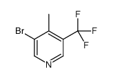 cas no 1211518-50-1 is 3-Bromo-4-methyl-5-(trifluoromethyl)pyridine