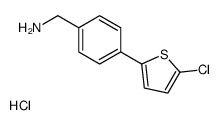 cas no 1211595-92-4 is (4-(5-CHLOROTHIOPHEN-2-YL)PHENYL)METHANAMINE HYDROCHLORIDE