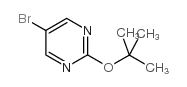 cas no 121487-13-6 is 5-bromo-2-[(2-methylpropan-2-yl)oxy]pyrimidine