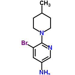 cas no 1216072-08-0 is 5-Bromo-6-(4-methyl-1-piperidinyl)-3-pyridinamine
