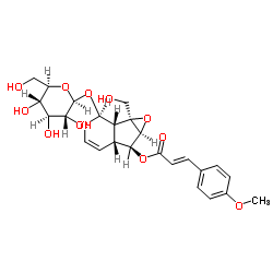 cas no 121710-02-9 is 6-O-p-Methoxycinnamoylcatalpol