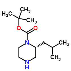cas no 1217599-13-7 is 2-Methyl-2-propanyl (2R)-2-isobutyl-1-piperazinecarboxylate