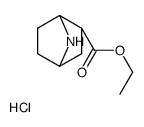 cas no 1217814-87-3 is (1S,2S,4R)-ETHYL 7-AZABICYCLO[2.2.1]HEPTANE-2-CARBOXYLATE HYDROCHLORIDE