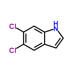 cas no 121859-57-2 is 5,6-Dichloro-1H-indole