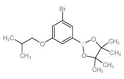 cas no 1218789-48-0 is 2-(3-Bromo-5-isobutoxyphenyl)-4,4,5,5-tetramethyl-1,3,2-dioxaborolane