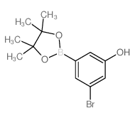 cas no 1218789-50-4 is 3-Bromo-5-(4,4,5,5-tetramethyl-1,3,2-dioxaborolan-2-yl)phenol