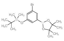 cas no 1218789-51-5 is (3-Bromo-5-(4,4,5,5-tetramethyl-1,3,2-dioxaborolan-2-yl)phenoxy)(tert-butyl)dimethylsilane