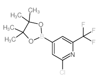 cas no 1218790-05-6 is 2-Chloro-4-(4,4,5,5-tetramethyl-1,3,2-dioxaborolan-2-yl)-6-(trifluoromethyl)pyridine