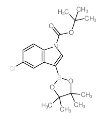 cas no 1218790-30-7 is tert-Butyl 5-chloro-3-(4,4,5,5-tetramethyl-1,3,2-dioxaborolan-2-yl)-1H-indole-1-carboxylate