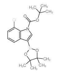 cas no 1218790-31-8 is tert-Butyl 7-chloro-3-(4,4,5,5-tetramethyl-1,3,2-dioxaborolan-2-yl)-1H-indole-1-carboxylate