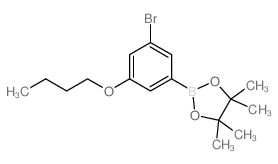 cas no 1218790-35-2 is 2-(3-Bromo-5-butoxyphenyl)-4,4,5,5-tetramethyl-1,3,2-dioxaborolane