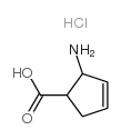 cas no 122022-92-8 is cis-2- Amino-3-cyclopentene-1-carboxylic acid hydrochloride