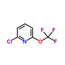 cas no 1221171-70-5 is 2-Chloro-6-(trifluoromethoxy)pyridine