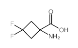 cas no 1225532-86-4 is 1-amino-3,3-difluoro-cyclobutanecarboxylic acid