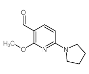 cas no 1228666-11-2 is 2-Methoxy-6-(pyrrolidin-1-yl)nicotinaldehyde