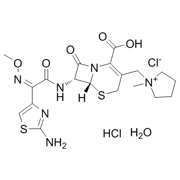 cas no 123171-59-5 is Cefepime Dihydrochloride Monohydrate