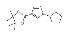 cas no 1233526-60-7 is 1-Cyclopentyl-1H-pyrazole-4-boronic acid pinacol ester