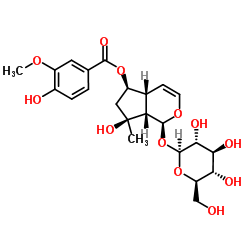 cas no 124168-04-3 is 6-O-Vanilloylajugol