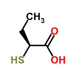 cas no 1242881-37-3 is (2S)-2-Sulfanylbutanoic acid