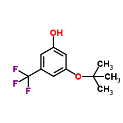 cas no 1243450-56-7 is Phenol, 3-?(1,?1-?dimethylethoxy)?-?5-?(trifluoromethyl)?