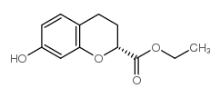 cas no 124439-98-1 is 2h-1-benzopyran-2-carboxylic acid, 3,4-dihydro-7-hydroxy-, ethyl ester