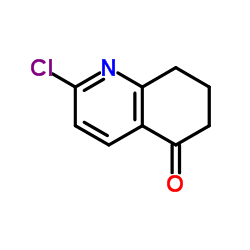 cas no 124467-36-3 is 2-Chloro-7,8-dihydro-5(6H)-quinolinone