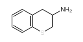 cas no 124499-23-6 is THIOCHROMAN-3-YLAMINE