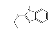 cas no 124530-70-7 is 1H-Benzimidazole,2-[(1-methylethyl)thio]-(9CI)