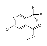 cas no 1246685-28-8 is methyl 2-chloro-5-(trifluoromethyl)pyridine-4-carboxylate