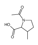 cas no 1248550-79-9 is 1-Acetyl-3-Methylpyrrolidine-2-carboxylic acid