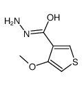 cas no 125605-39-2 is 4-methoxythiophene-3-carbohydrazide