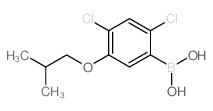 cas no 1256346-46-9 is (2,4-DICHLORO-5-ISOBUTOXYPHENYL)BORONIC ACID