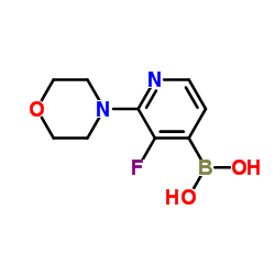 cas no 1256355-28-8 is (3-fluoro-2-morpholino-4-pyridyl)boronic acid