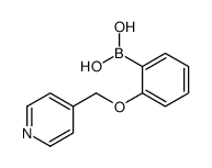 cas no 1256355-49-3 is [2-(pyridin-4-ylmethoxy)phenyl]boronic acid