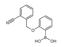 cas no 1256355-77-7 is [2-[(2-cyanophenyl)methoxy]phenyl]boronic acid