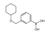 cas no 1256358-64-1 is (3-((CYCLOHEXYLOXY)METHYL)PHENYL)BORONIC ACID