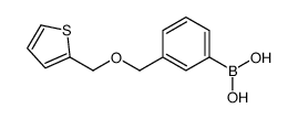 cas no 1256358-80-1 is [3-(thiophen-2-ylmethoxymethyl)phenyl]boronic acid