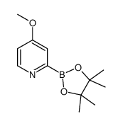 cas no 1256358-88-9 is 4-methoxy-2-(4,4,5,5-tetramethyl-1,3,2-dioxaborolan-2-yl)pyridine