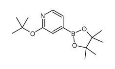 cas no 1256358-89-0 is 2-tert-butoxy-4-(4,4,5,5-tetramethyl-1,3,2-dioxaborolan-2-yl)pyridine