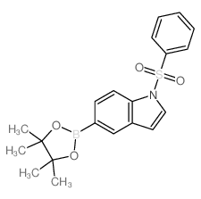 cas no 1256359-23-5 is 1-(Phenylsulfonyl)-5-(4,4,5,5-tetramethyl-1,3,2-dioxaborolan-2-yl)-1H-indole