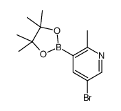 cas no 1256360-43-6 is 5-bromo-2-methyl-3-(4,4,5,5-tetramethyl-1,3,2-dioxaborolan-2-yl)pyridine