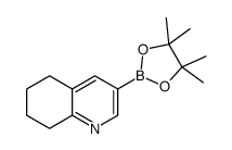 cas no 1256360-50-5 is 3-(4,4,5,5-tetramethyl-1,3,2-dioxaborolan-2-yl)-5,6,7,8-tetrahydroquinoline