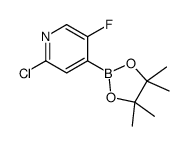 cas no 1256360-62-9 is 2-Chloro-5-fluoropyridine-4-boronic acid pinacol ester
