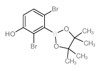 cas no 1256781-61-9 is 2,4-Dibromo-3-(4,4,5,5-tetramethyl-1,3,2-dioxaborolan-2-yl)phenol