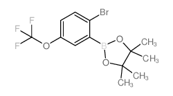 cas no 1256781-66-4 is 2-(2-BROMO-5-(TRIFLUOROMETHOXY)PHENYL)-4,4,5,5-TETRAMETHYL-1,3,2-DIOXABOROLANE