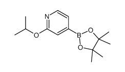 cas no 1257554-10-1 is 2-Isoproxypyridine-4-boronic acid pinacol ester