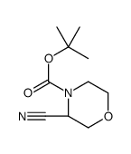 cas no 1257856-32-8 is (R)-N-Boc-3-Cyanomorpholine