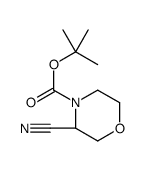 cas no 1257856-86-2 is (S)-N-Boc-3-Cyanomorpholine