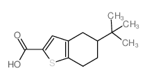 cas no 126231-22-9 is 5-tert-Butyl-4,5,6,7-tetrahydro-1-benzothiophene-2-carboxylic acid