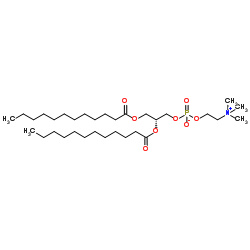 cas no 127641-86-5 is 1,2-dilauroyl-sn-glycero-3-phosphocholine